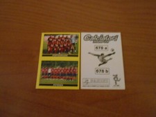 FIGURINA CALCIATORI PANINI