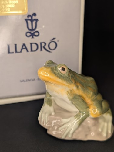 Statuina rana osservatore
