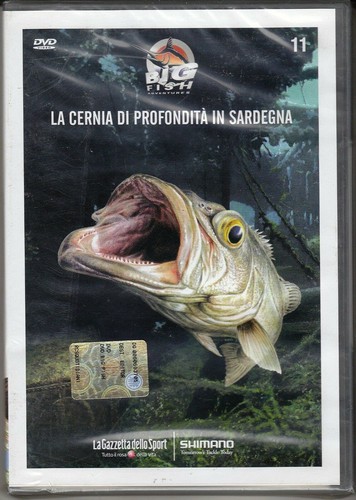 Big fish adventures cernia - fish,