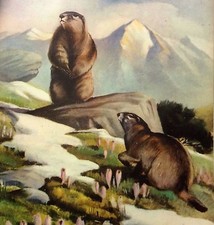 STAMPA 1952 ROBERTO LEMMI