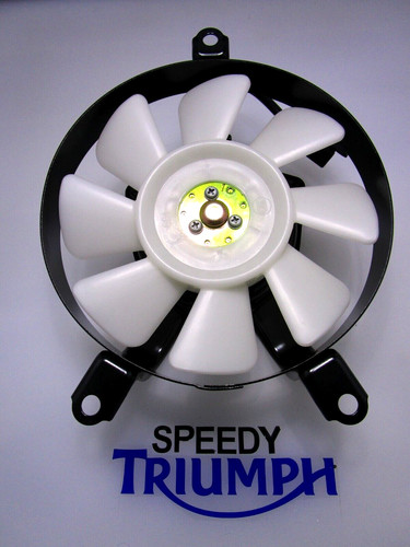 Triumph speed triple 885 - triple,