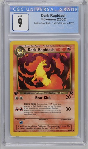 Dark rapidash team - rapidash, 44/82