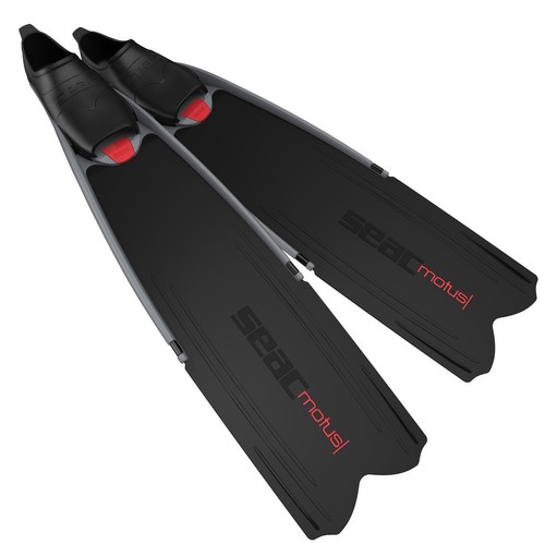 Seac motus pinne morbide e - seac, motus,