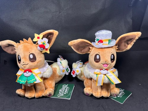 Pokepark kanto 2026 eevee - pokepark,