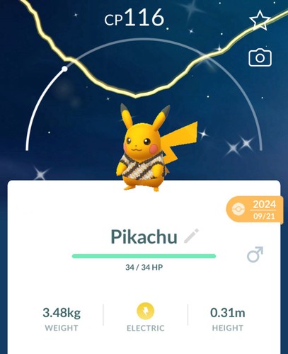 Shiny pikachu batik - shiny,