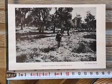 Sardegna Nuoro Bitti 1931