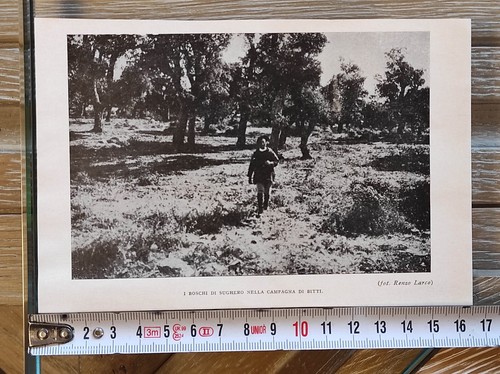 Sardegna nuoro bitti - sardegna, 1931