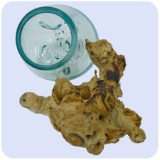 Vaso In Vetro Di Radice Di