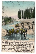 Turkey 1908 AK Caravan River