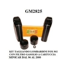 TAGLIANDO MOTORE (KIT)