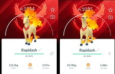 Pokemon Trade Go Rapidash