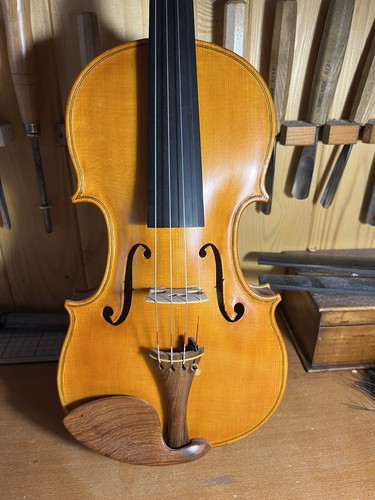 Violin b zobboli 2015 - violin,