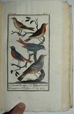 BUFFON - fig. 1792 - UCCELLI - ALLODOLA  - storia naturale - 6 TAVOLE