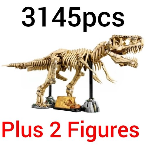 Nuovi fossili dinosauro - nuovi,