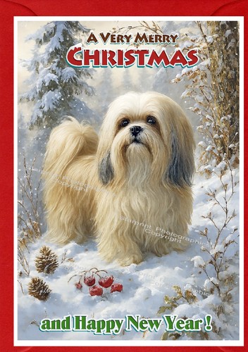 Biglietto natale per - di,