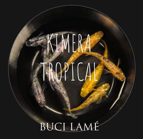 Medaka buci lamé coppia - lamé,