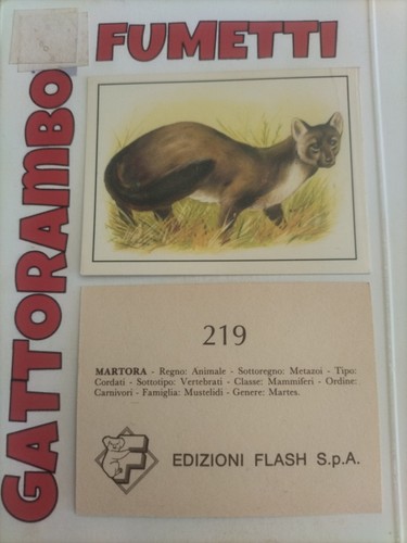 Figurine zoo mappa - figurine, della
