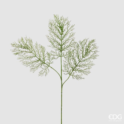 Edg ramo corallo light - edg,