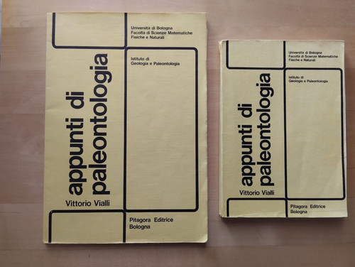 Vittorio vialli 1981 - vittorio,