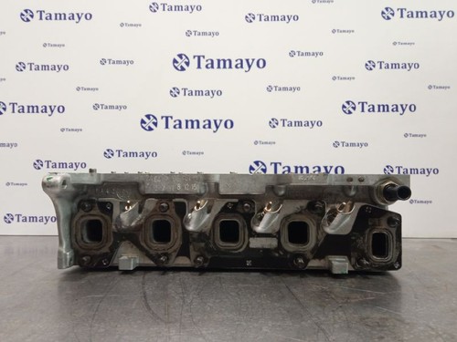 55193109 testata motore - 55193109,