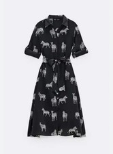 Zara Blog’s Fav Zebra 🦓