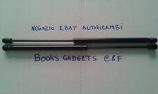 2 PISTONI PISTONCINI