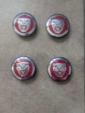 Coprimozzo Jaguar