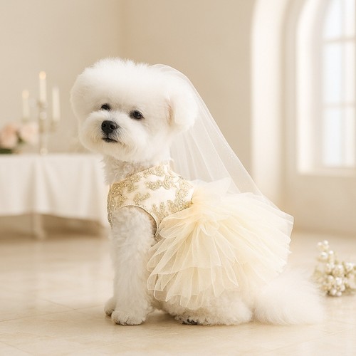 Vestito cane dolce - , animale