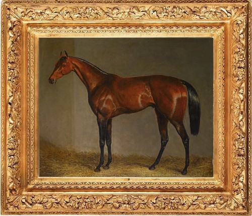 Dipinto olio mano - olio, a
