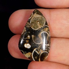 Cabochon naturale unico fossile Turritella 17,45 ct. Gemma curativa Reiki