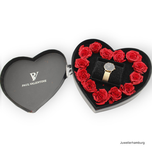 Paul valentine pvhb36211combi - valentine,