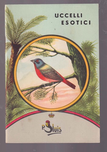 Uccelli esotici luis weesp - uccelli,