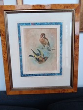 Antico quadro acquerello