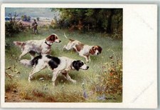 39808744 - insegna. Arricchisce Carl Epagneul Breton Jaeger M. Munk n. 239 cane da caccia