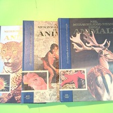 NEL MERAVIGLIOSO REGNO DEGLI