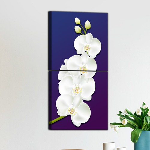 Quadri moderni orchidea bianca