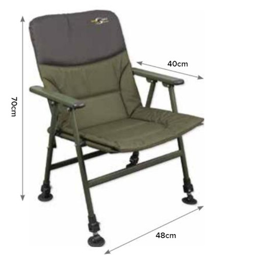 Acc520009 carp spirit - , level