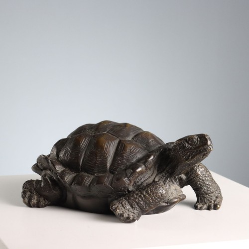 Scultura bronzo tartaruga - in,