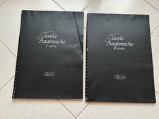 Tavole Anatomiche Lederle prima e seconda serie