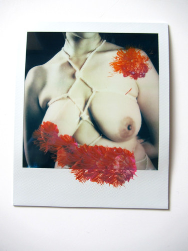 Araki polaroid originale - n., araki:
