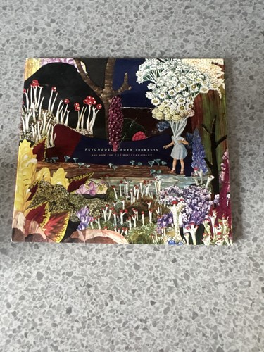 Psychedelic porn crumpets - porn,