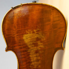 vecchio violino 4/4 violino viola violoncello viola fiddle label ANTONIO PEDRINELLI n.353