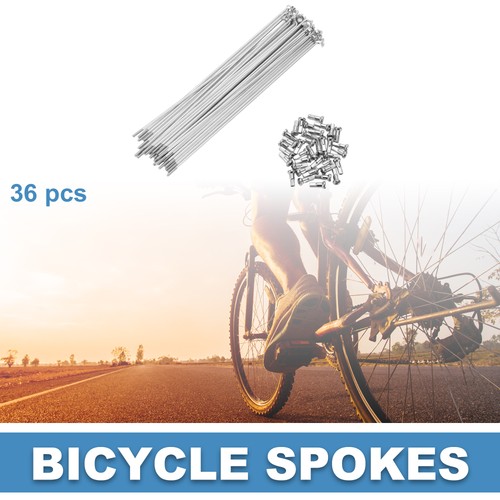 Raggi bici bicicletta - raggi, 14g