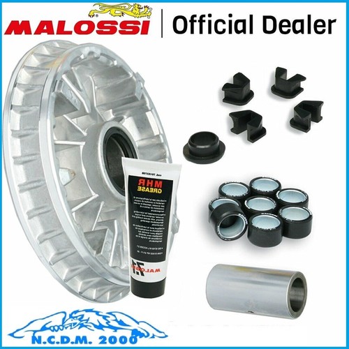 Variatore malossi multivar - variatore,