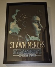 Poster Shawn Mendes Illuminate