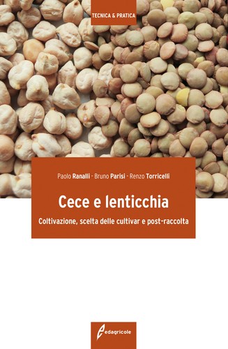 Cece lenticchia - cece,