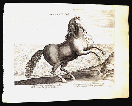 1580-RARA-NAPOLI-NEAPOLITANUS-