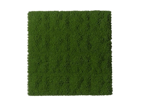 Tappeto muschio 100x100cm - tappeto,