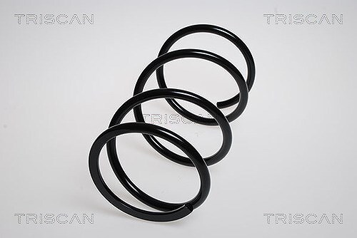 Triscan molla sospensione - triscan, di