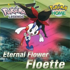 FLOETTE FIORE ETERNO🔥6IV